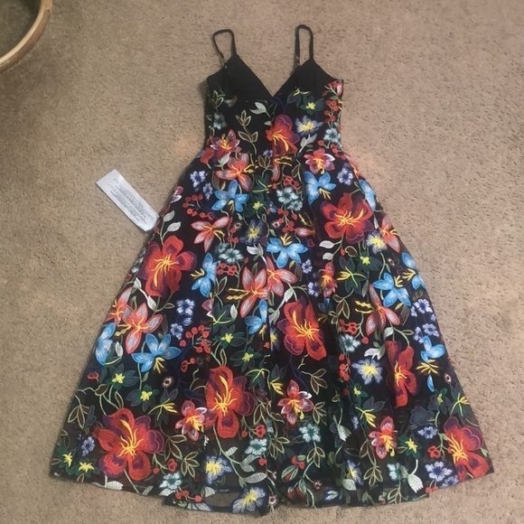 Dress the Population Maren Embroidered Floral Sleeveless Fit & Flare Dress XXS - Picture 7 of 12